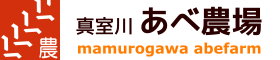 logo-s2